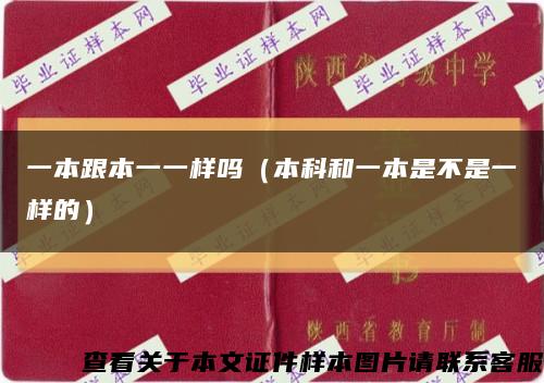 一本跟本一一样吗（本科和一本是不是一样的）缩略图