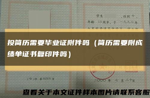 投简历需要毕业证附件吗（简历需要附成绩单证书复印件吗）缩略图