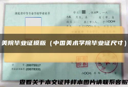 美院毕业证模版（中国美术学院毕业证尺寸）缩略图