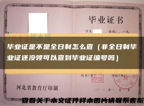 毕业证是不是全日制怎么查（非全日制毕业证还没领可以查到毕业证编号吗）缩略图
