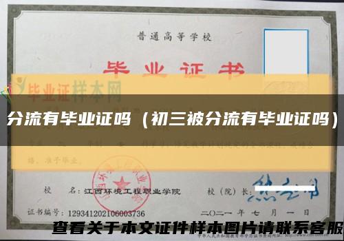 分流有毕业证吗（初三被分流有毕业证吗）缩略图