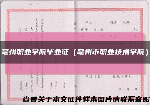 亳州职业学院毕业证（亳州市职业技术学院）缩略图