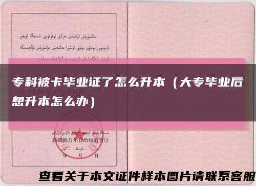 专科被卡毕业证了怎么升本（大专毕业后想升本怎么办）缩略图