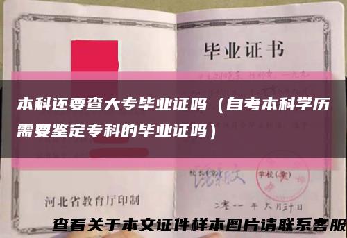 本科还要查大专毕业证吗（自考本科学历需要鉴定专科的毕业证吗）缩略图