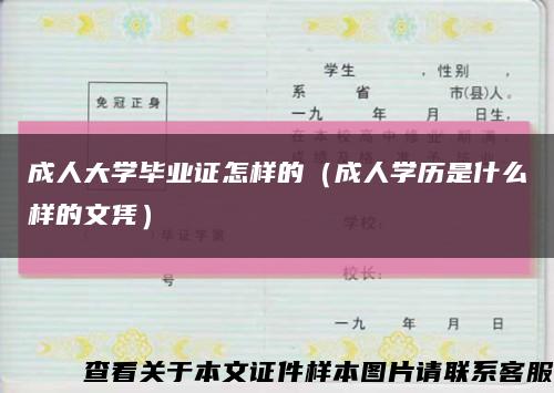 成人大学毕业证怎样的（成人学历是什么样的文凭）缩略图