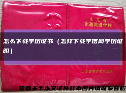 怎么下载学历证书（怎样下载学信网学历证明）缩略图