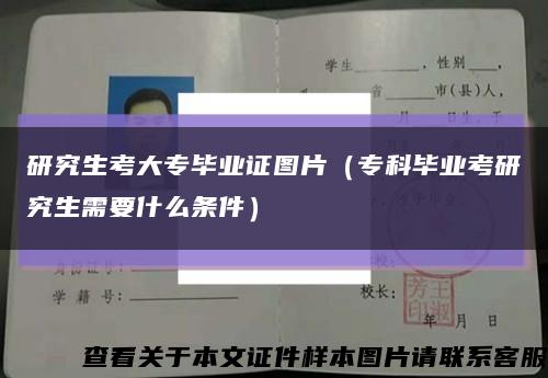 研究生考大专毕业证图片（专科毕业考研究生需要什么条件）缩略图