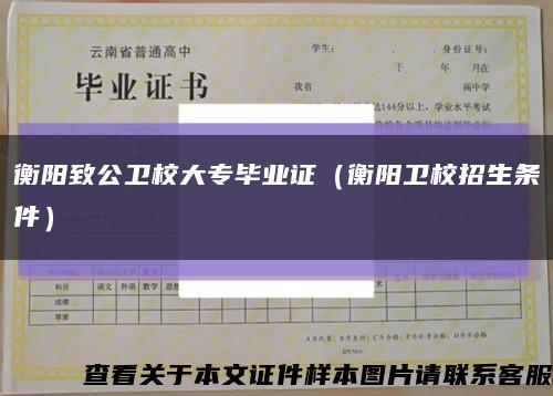 衡阳致公卫校大专毕业证（衡阳卫校招生条件）缩略图