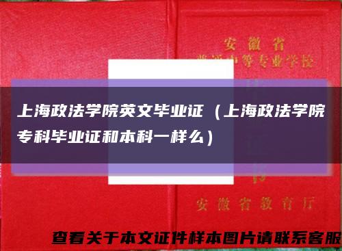 上海政法学院英文毕业证（上海政法学院专科毕业证和本科一样么）缩略图
