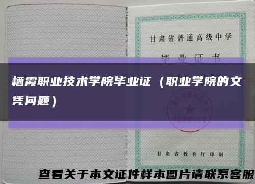 栖霞职业技术学院毕业证（职业学院的文凭问题）缩略图