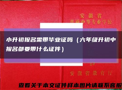 小升初报名需带毕业证吗（六年级升初中报名都要带什么证件）缩略图