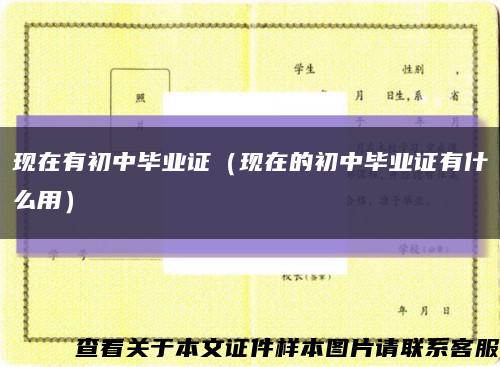 现在有初中毕业证（现在的初中毕业证有什么用）缩略图