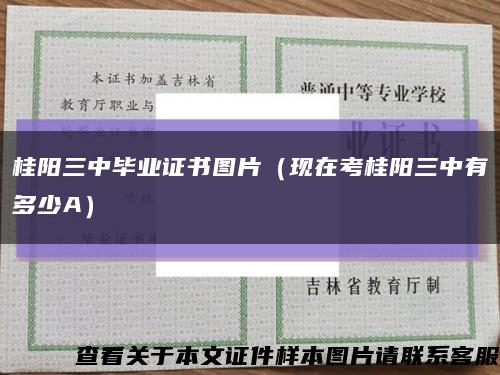 桂阳三中毕业证书图片（现在考桂阳三中有多少A）缩略图