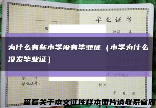 为什么有些小学没有毕业证（小学为什么没发毕业证）缩略图
