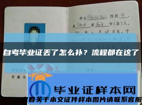 自考毕业证丢了怎么补？流程都在这了缩略图