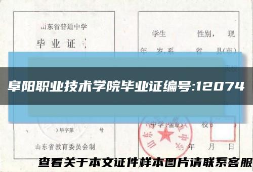 阜阳职业技术学院毕业证编号:12074缩略图