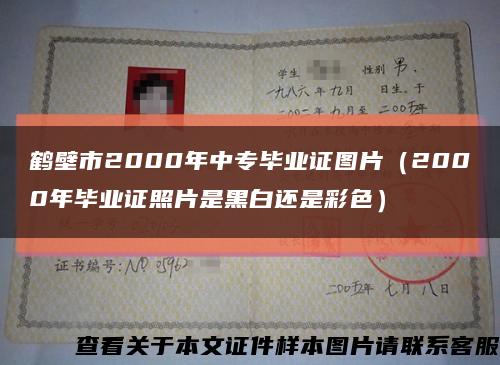 鹤壁市2000年中专毕业证图片（2000年毕业证照片是黑白还是彩色）缩略图