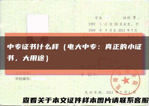 中专证书什么样（电大中专：真正的小证书，大用途）缩略图