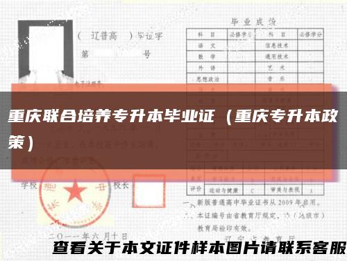 重庆联合培养专升本毕业证（重庆专升本政策）缩略图