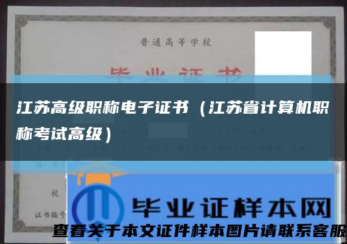江苏高级职称电子证书（江苏省计算机职称考试高级）缩略图