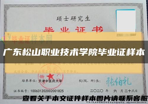 广东松山职业技术学院毕业证样本缩略图