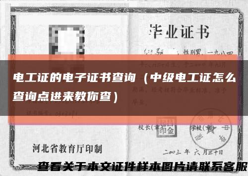 电工证的电子证书查询（中级电工证怎么查询点进来教你查）缩略图