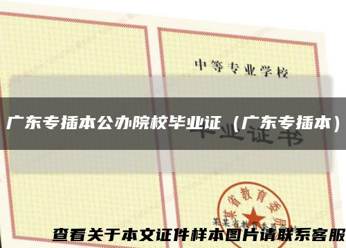 广东专插本公办院校毕业证（广东专插本）缩略图