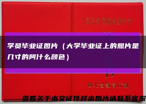 学员毕业证图片（大学毕业证上的照片是几寸的阿什么颜色）缩略图
