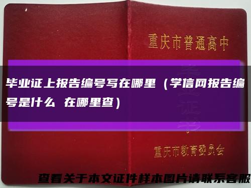 毕业证上报告编号写在哪里（学信网报告编号是什么 在哪里查）缩略图