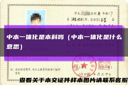 中本一体化是本科吗（中本一体化是什么意思）缩略图
