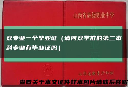 双专业一个毕业证（请问双学位的第二本科专业有毕业证吗）缩略图