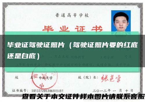 毕业证驾驶证照片（驾驶证照片要的红底还是白底）缩略图