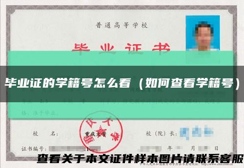 毕业证的学籍号怎么看（如何查看学籍号）缩略图