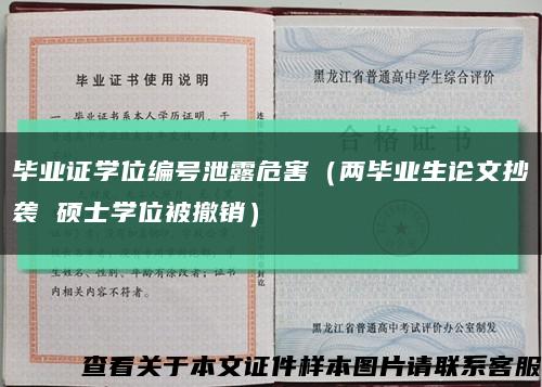 毕业证学位编号泄露危害（两毕业生论文抄袭 硕士学位被撤销）缩略图