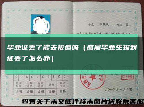 毕业证丢了能去报道吗（应届毕业生报到证丢了怎么办）缩略图