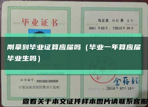 刚拿到毕业证算应届吗（毕业一年算应届毕业生吗）缩略图