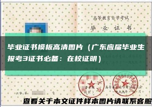毕业证书模板高清图片（广东应届毕业生报考3证书必备：在校证明）缩略图