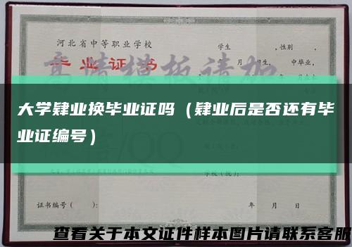 大学肄业换毕业证吗（肄业后是否还有毕业证编号）缩略图