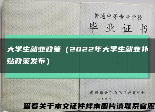 大学生就业政策（2022年大学生就业补贴政策发布）缩略图