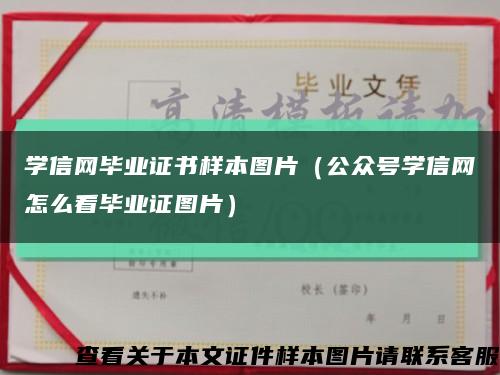 学信网毕业证书样本图片（公众号学信网怎么看毕业证图片）缩略图