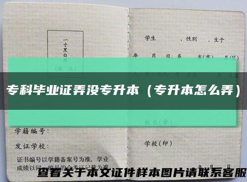 专科毕业证弄没专升本（专升本怎么弄）缩略图