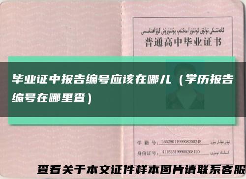 毕业证中报告编号应该在哪儿（学历报告编号在哪里查）缩略图