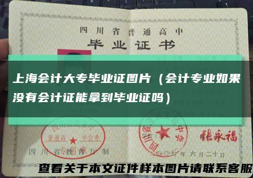 上海会计大专毕业证图片（会计专业如果没有会计证能拿到毕业证吗）缩略图