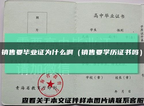 销售要毕业证为什么啊（销售要学历证书吗）缩略图