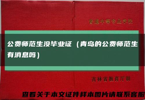 公费师范生没毕业证（青岛的公费师范生有消息吗）缩略图