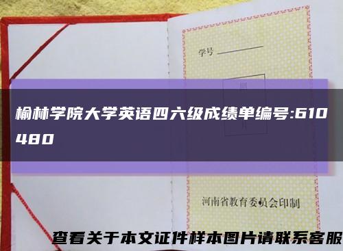 榆林学院大学英语四六级成绩单编号:610480缩略图