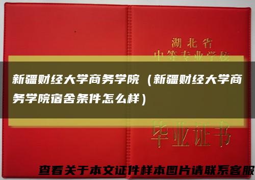 新疆财经大学商务学院（新疆财经大学商务学院宿舍条件怎么样）缩略图