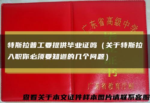 特斯拉普工要提供毕业证吗（关于特斯拉入职你必须要知道的几个问题）缩略图