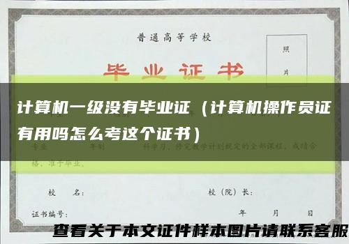 计算机一级没有毕业证（计算机操作员证有用吗怎么考这个证书）缩略图