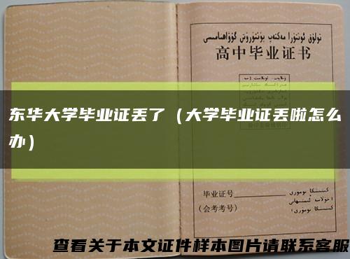 东华大学毕业证丢了（大学毕业证丢啦怎么办）缩略图